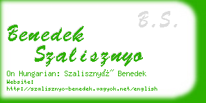 benedek szalisznyo business card